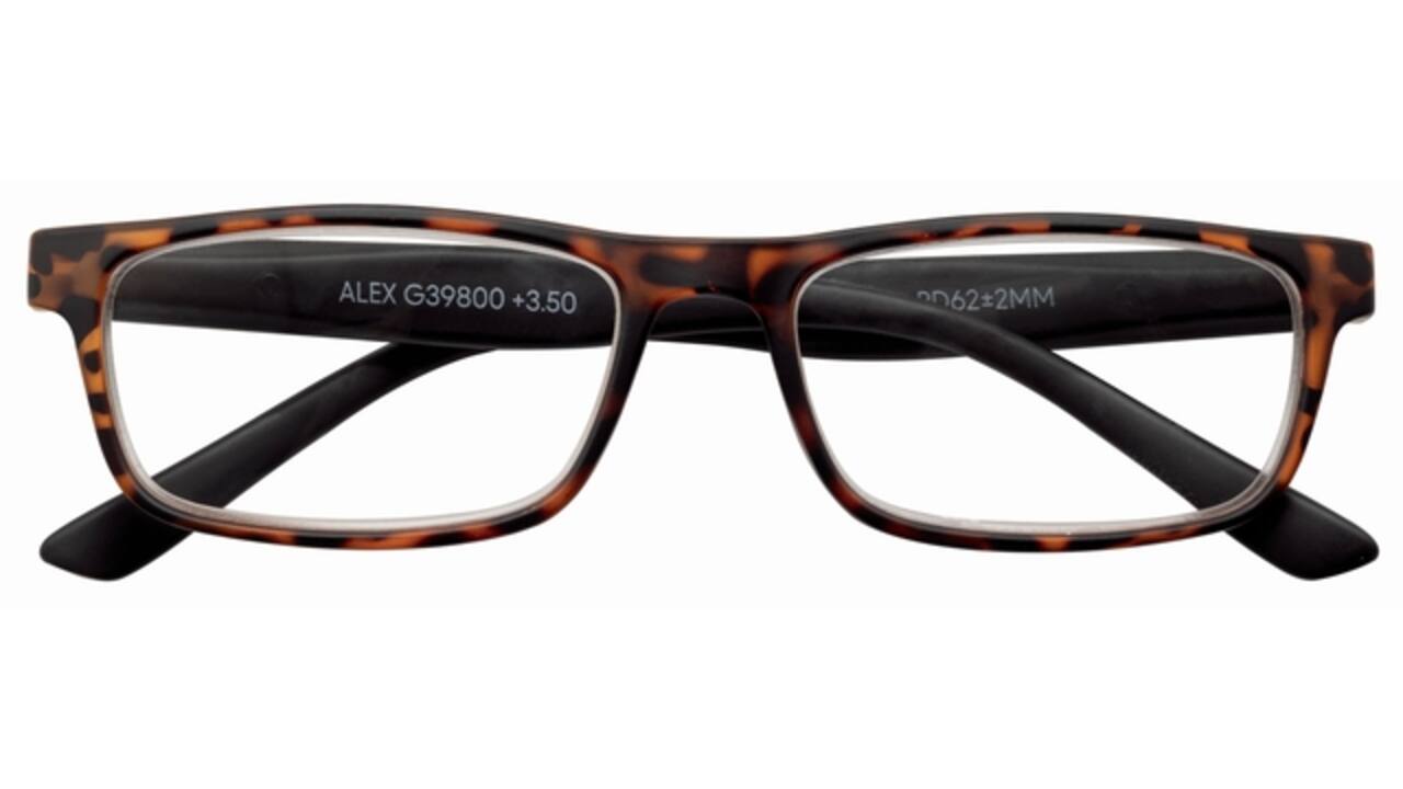 Leesbril I Need You +2.00 dpt Alex havanna-zwart