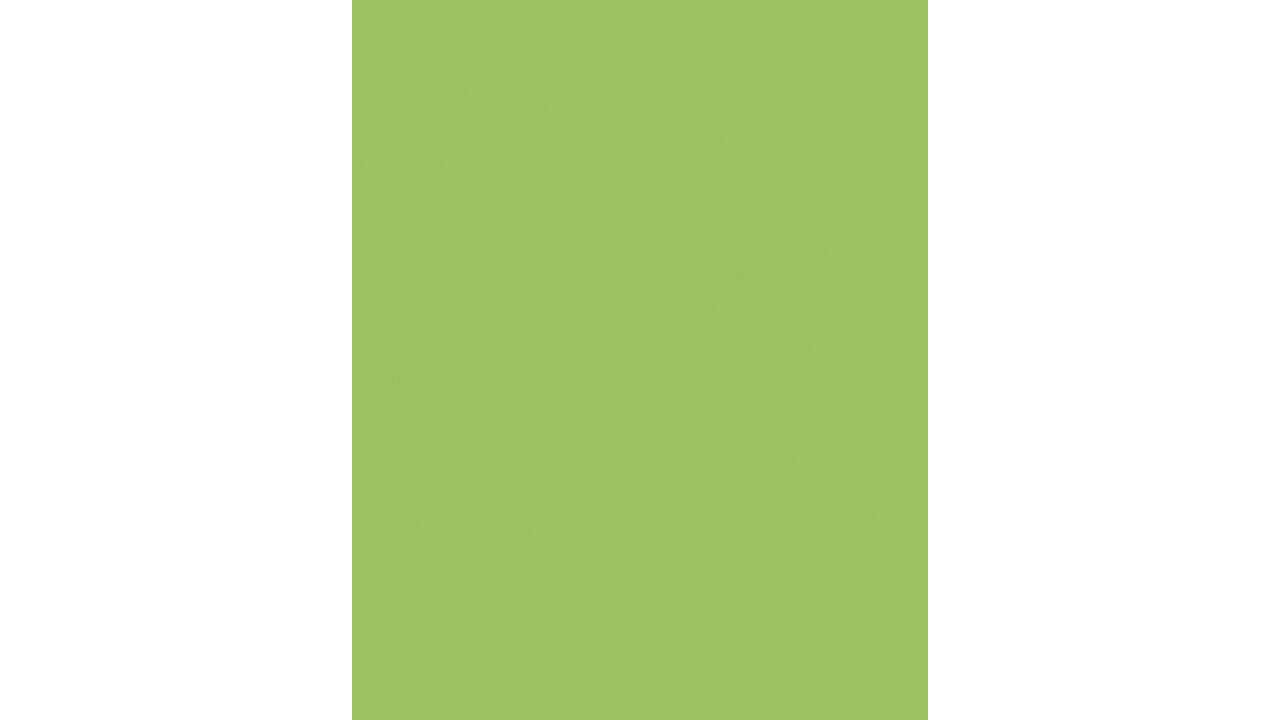 Etalagekarton Folia 1-zijdig 48x68cm 380gr nr941 fluor groen
