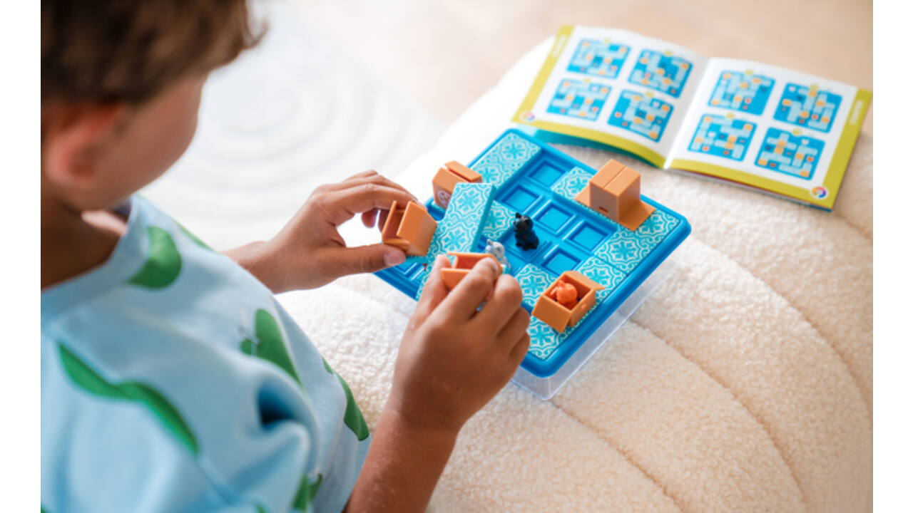 Puzzelspel Smart Games Cats & Boxes