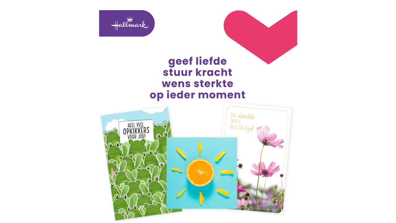 Wenskaart Hallmark Business Box beterschap navulset à 12 stuks