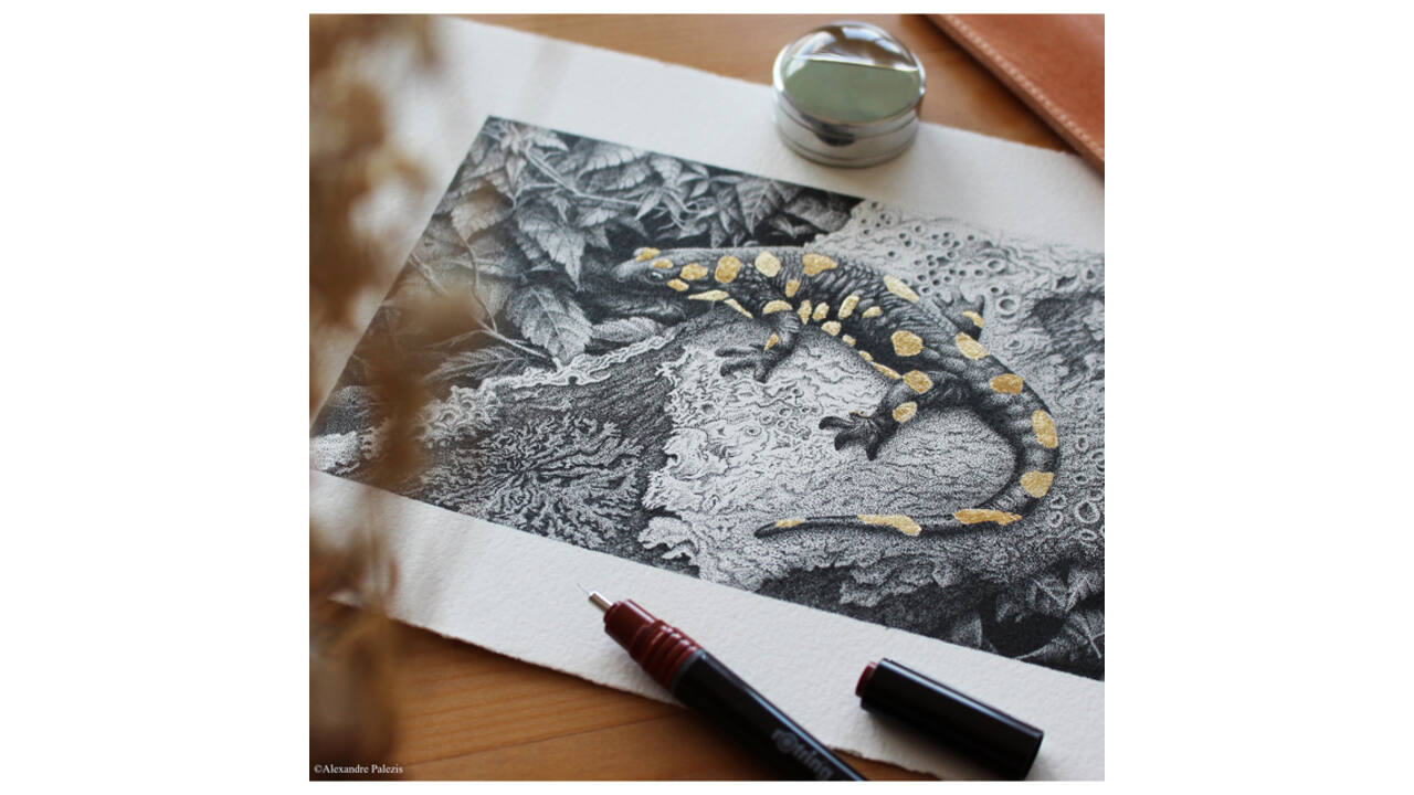 Tekenset rOtring Isograph 7-delig