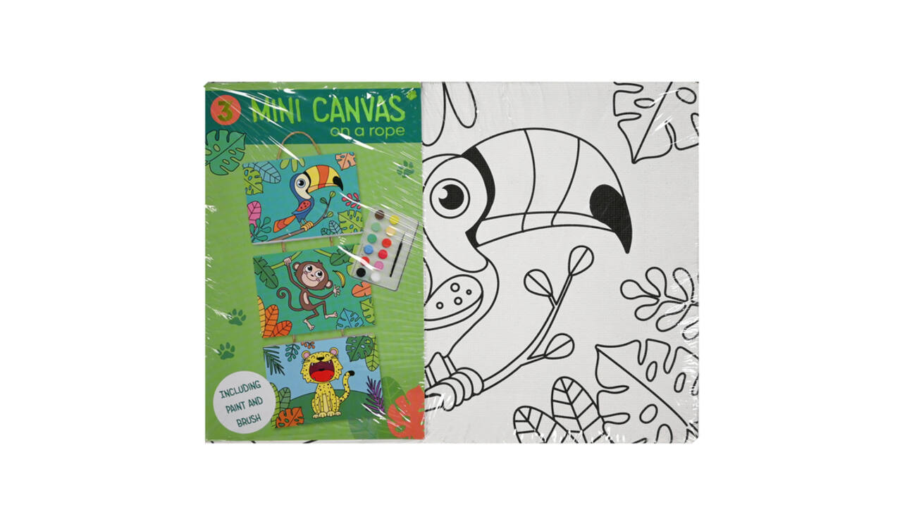 Canvasset om in te kleuren assorti