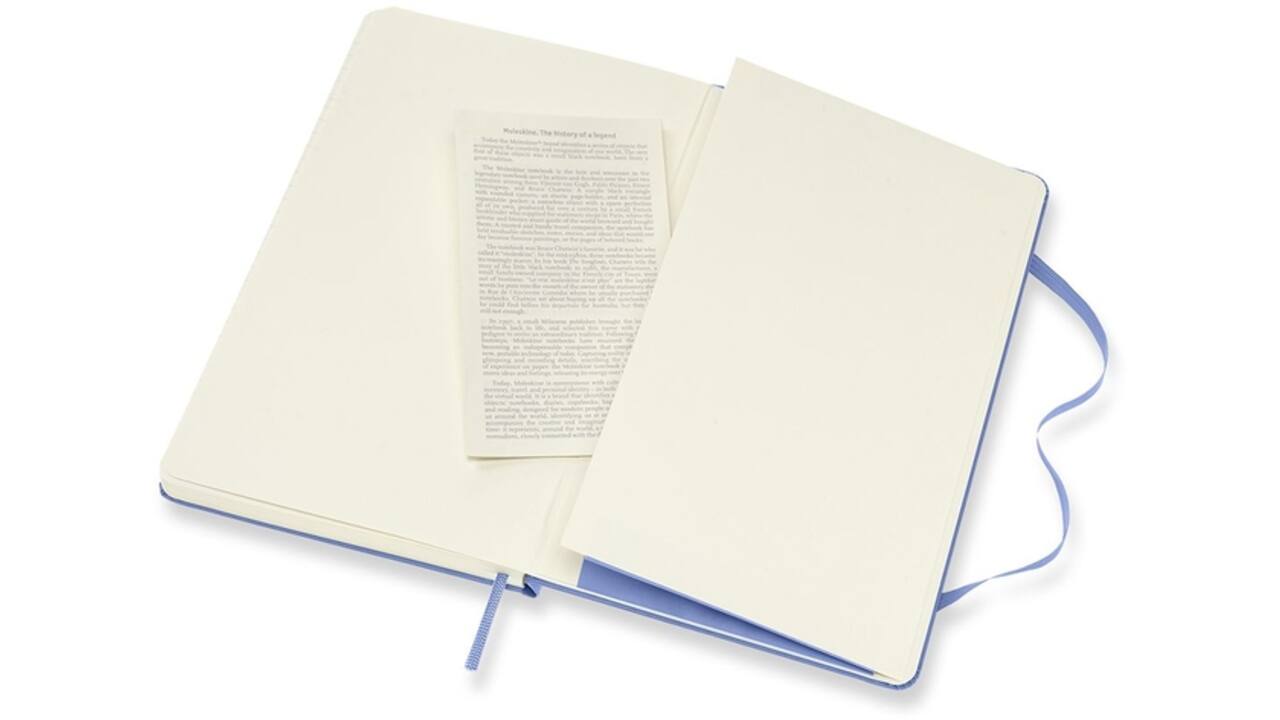 Notitieboek Moleskine large 130x210mm lijn hard cover hydrangea blue