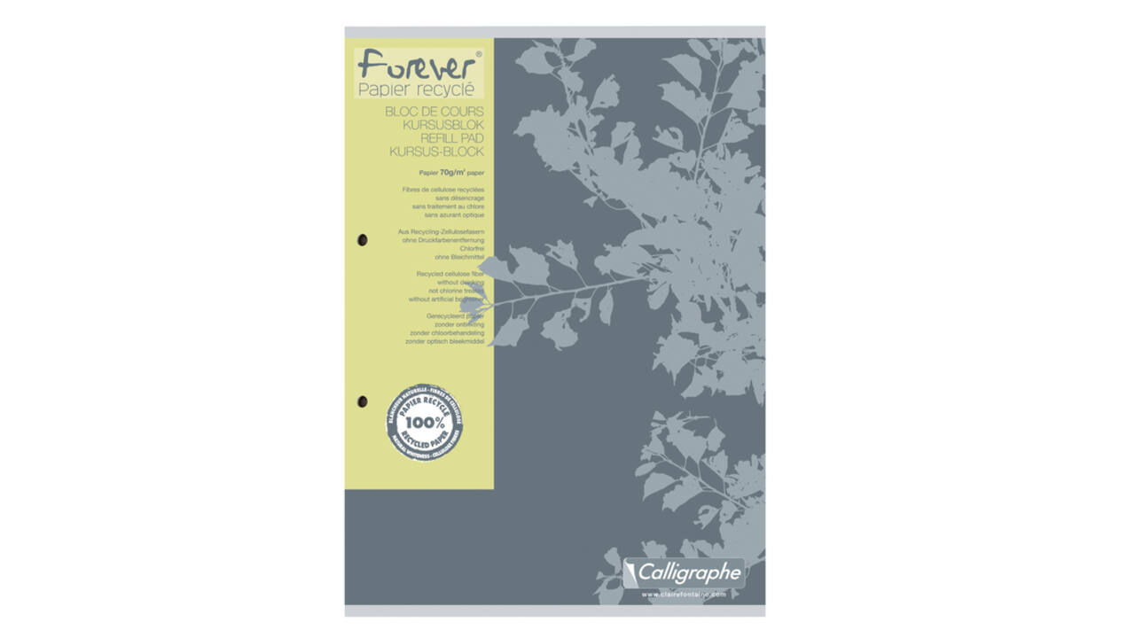 Cursusblok Clairefontaine Forever Calligraphe A4 ruit 5x5mm 2-gaats 200 pagina's 70gr grijs