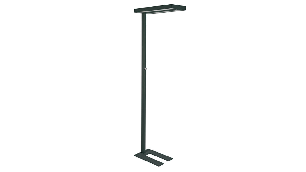 Vloerlamp MAUL Juvis LED beweging- daglichtsensor dimbaar hg 195cm zwart