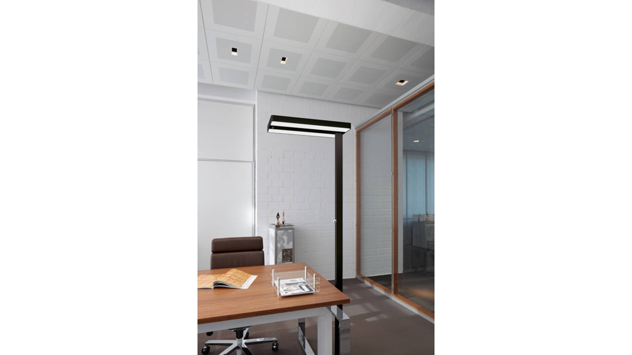 Vloerlamp MAUL Juvis LED beweging- daglichtsensor dimbaar hg 195cm zwart