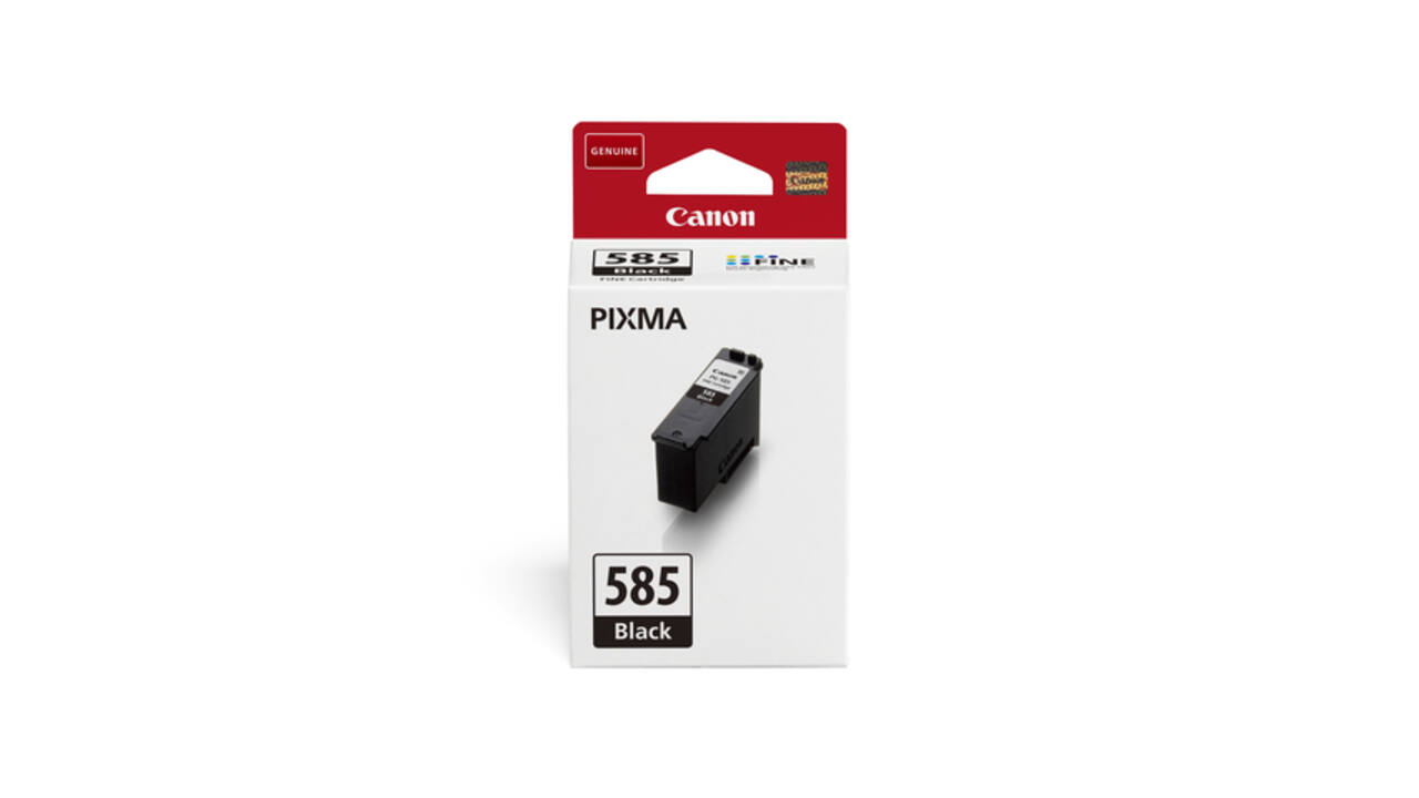 Inktcartridge Canon PG-585 zwart