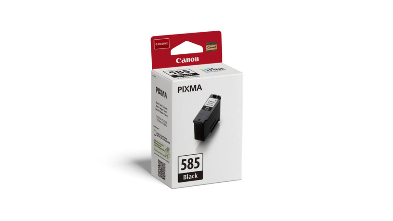 Inktcartridge Canon PG-585 zwart