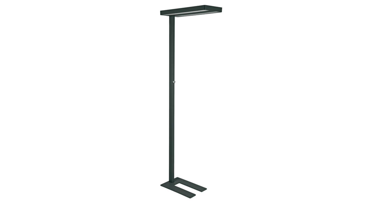 Vloerlamp MAUL Javal LED dimbaar zwart hoog 195cm
