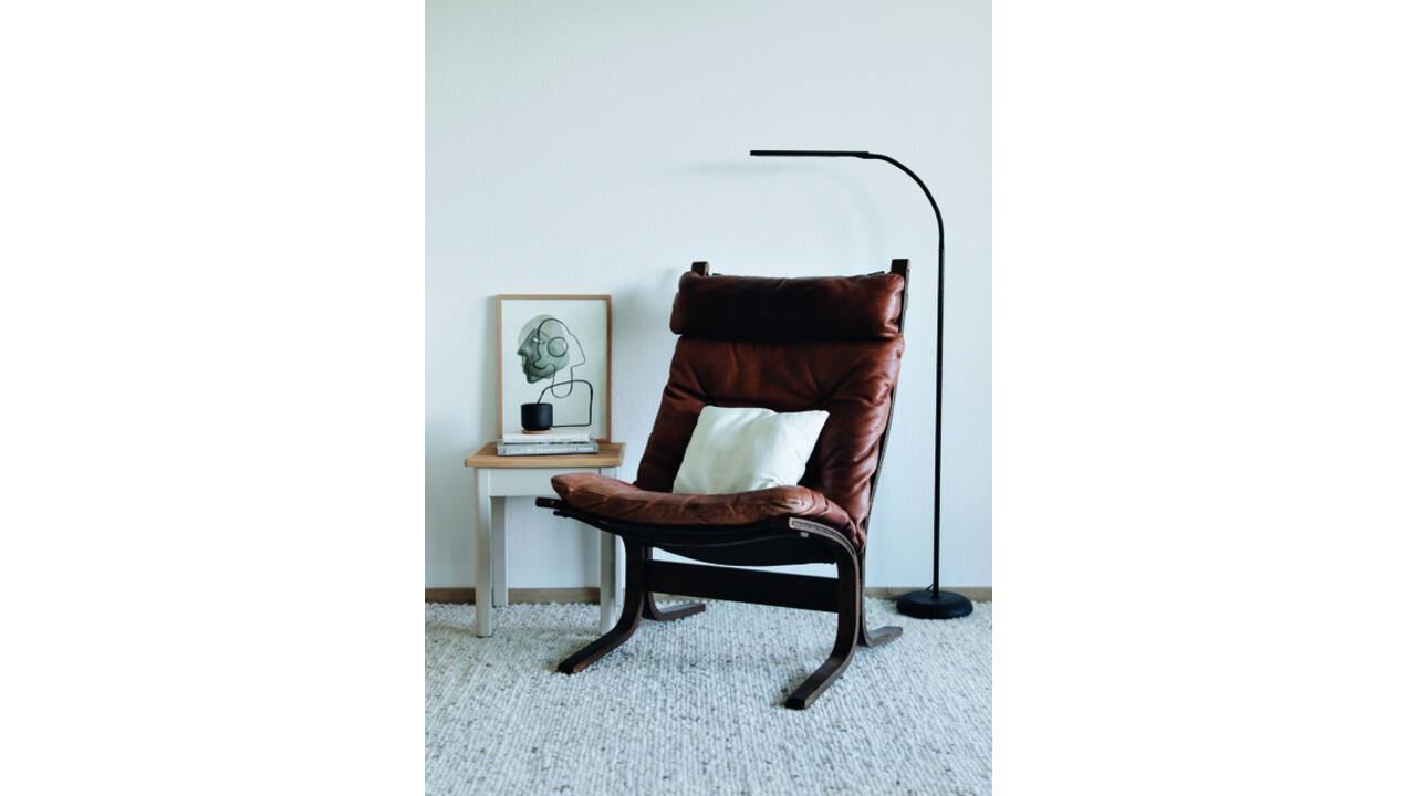 Vloerlamp MAUL Pirro LED dimbaar zwart