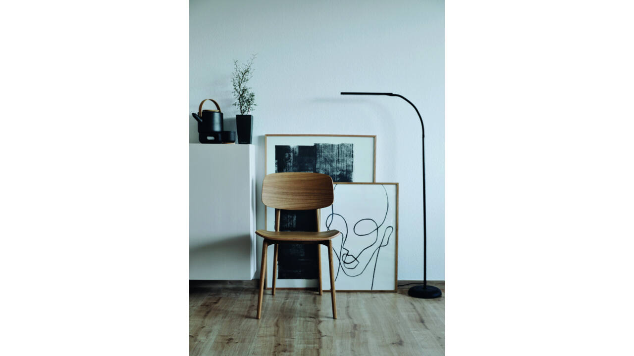 Vloerlamp MAUL Pirro LED dimbaar zwart