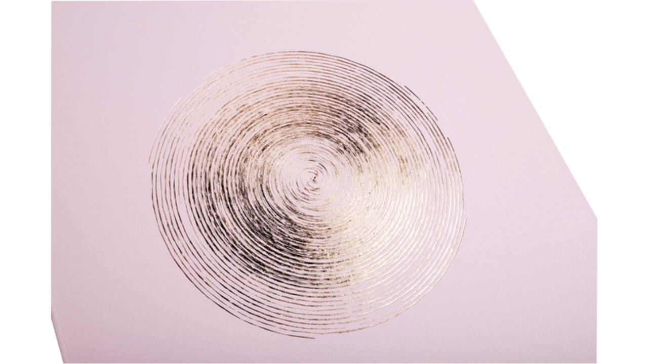 Fotoalbum Exacompta 29x32cm 60 witte pagina's Ellipse roze