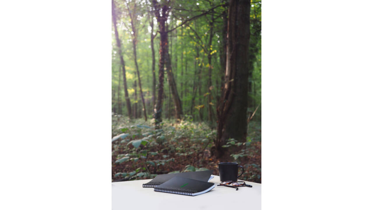 Notitieboek Rhodia Greenbook A4+ lijn 4-gaats 180 pagina's 90gr zwart
