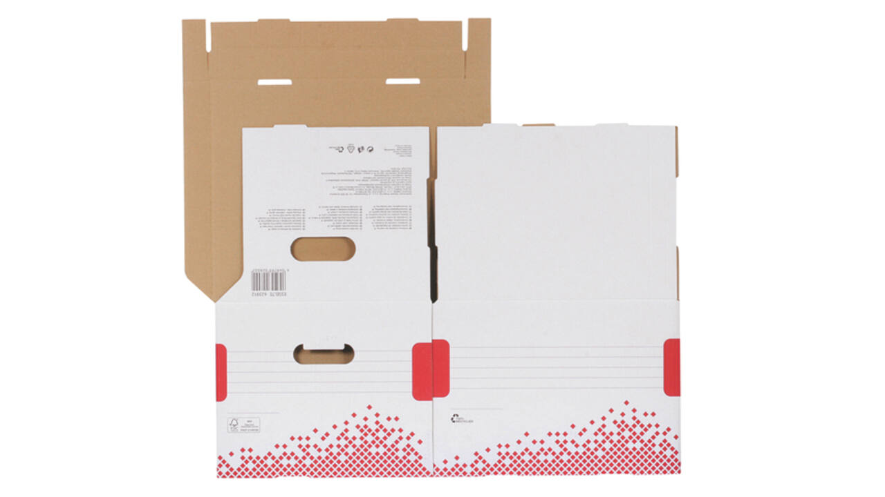 Opberg- en transportdoos Esselte Speedbox 367x263x325mm wit