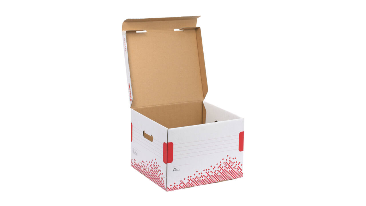 Opberg- en transportdoos Esselte Speedbox 367x263x325mm wit