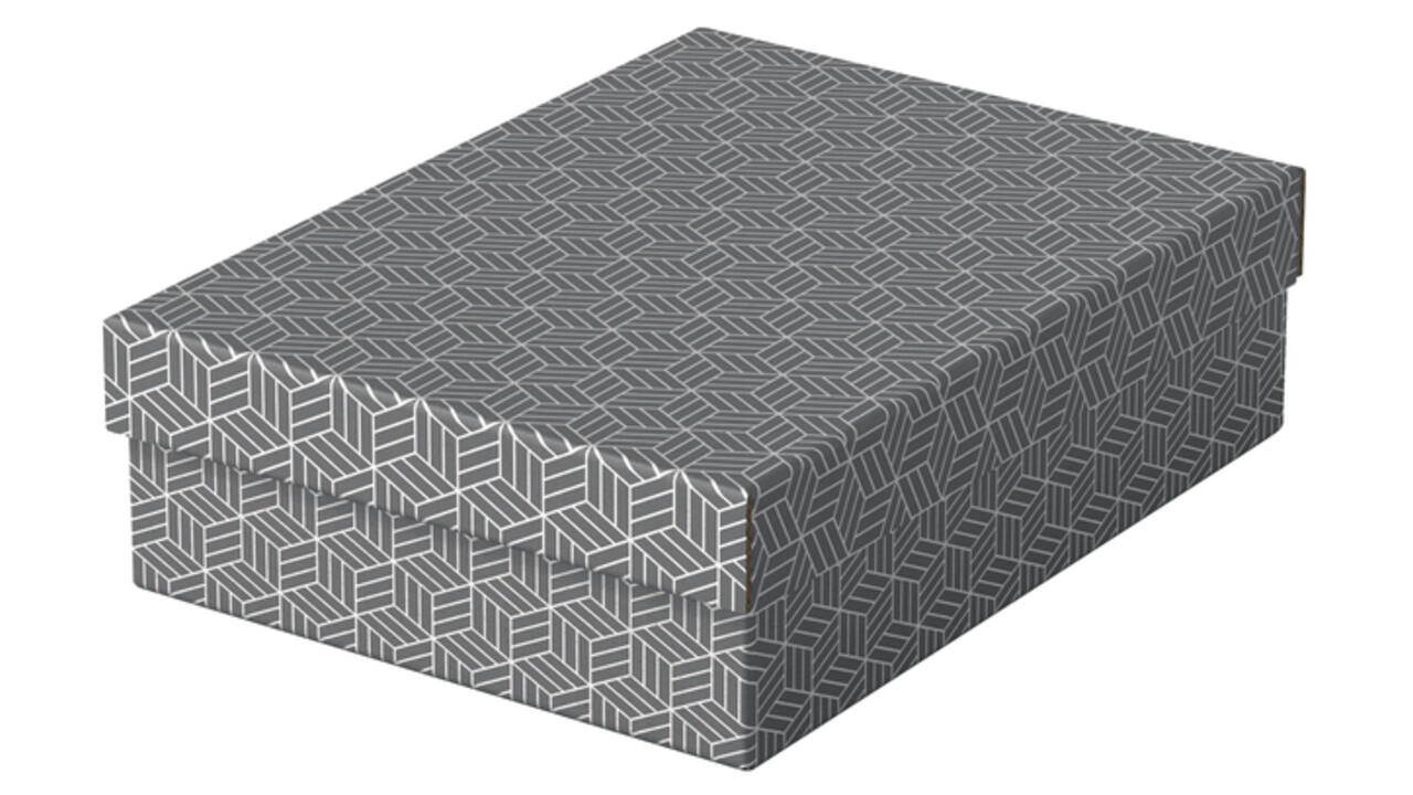 Opberg- en geschenkdoos Esselte home middelgroot 265x100x360mm grijs 3 stuks
