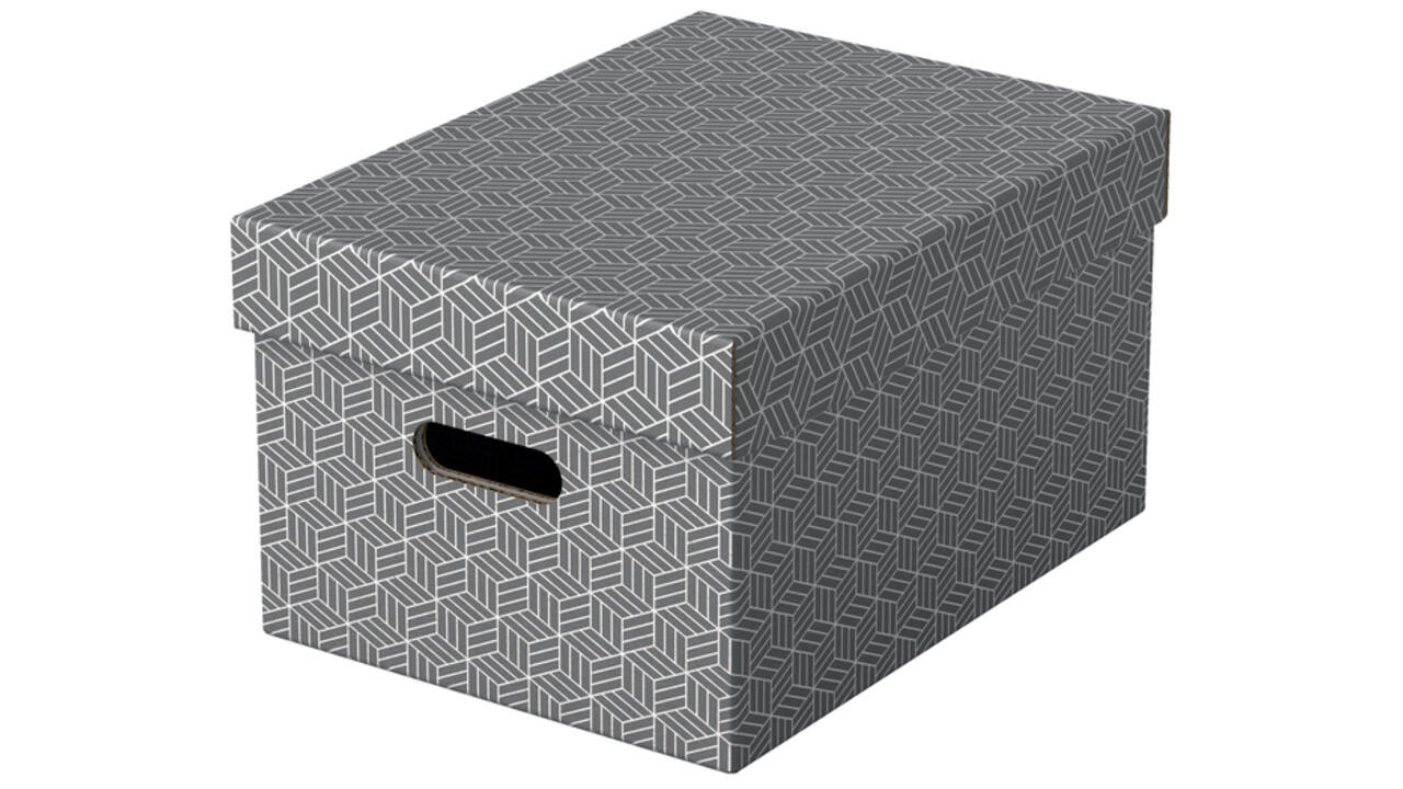 Opbergdoos Esselte home middelgroot 265x205x365mm grijs 3 stuks