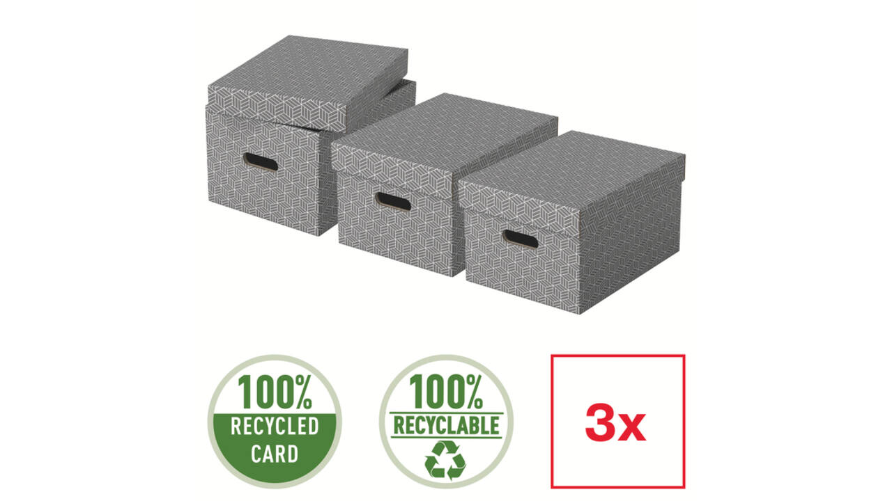 Opbergdoos Esselte home middelgroot 265x205x365mm grijs 3 stuks