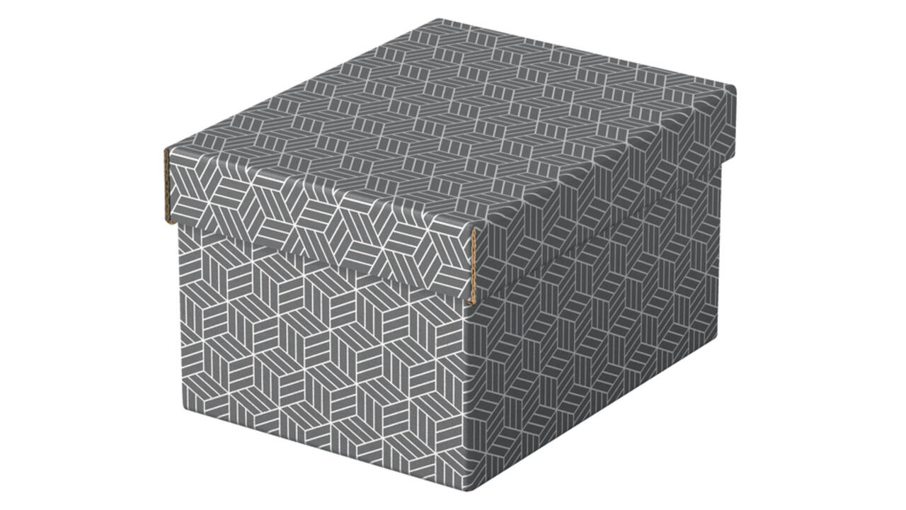 Opberg- en geschenkdoos Esselte home klein 200x150x255mm gr 3 st