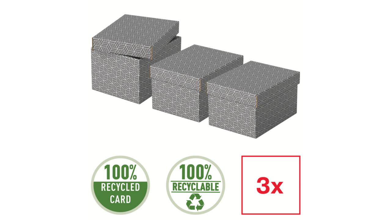 Opberg- en geschenkdoos Esselte home klein 200x150x255mm gr 3 st