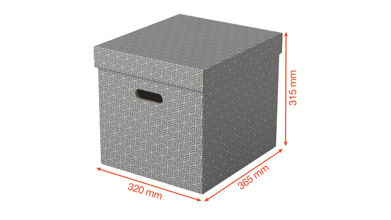 Opbergdoos Esselte home kubus 320x315x365mm grijs 3 stuks