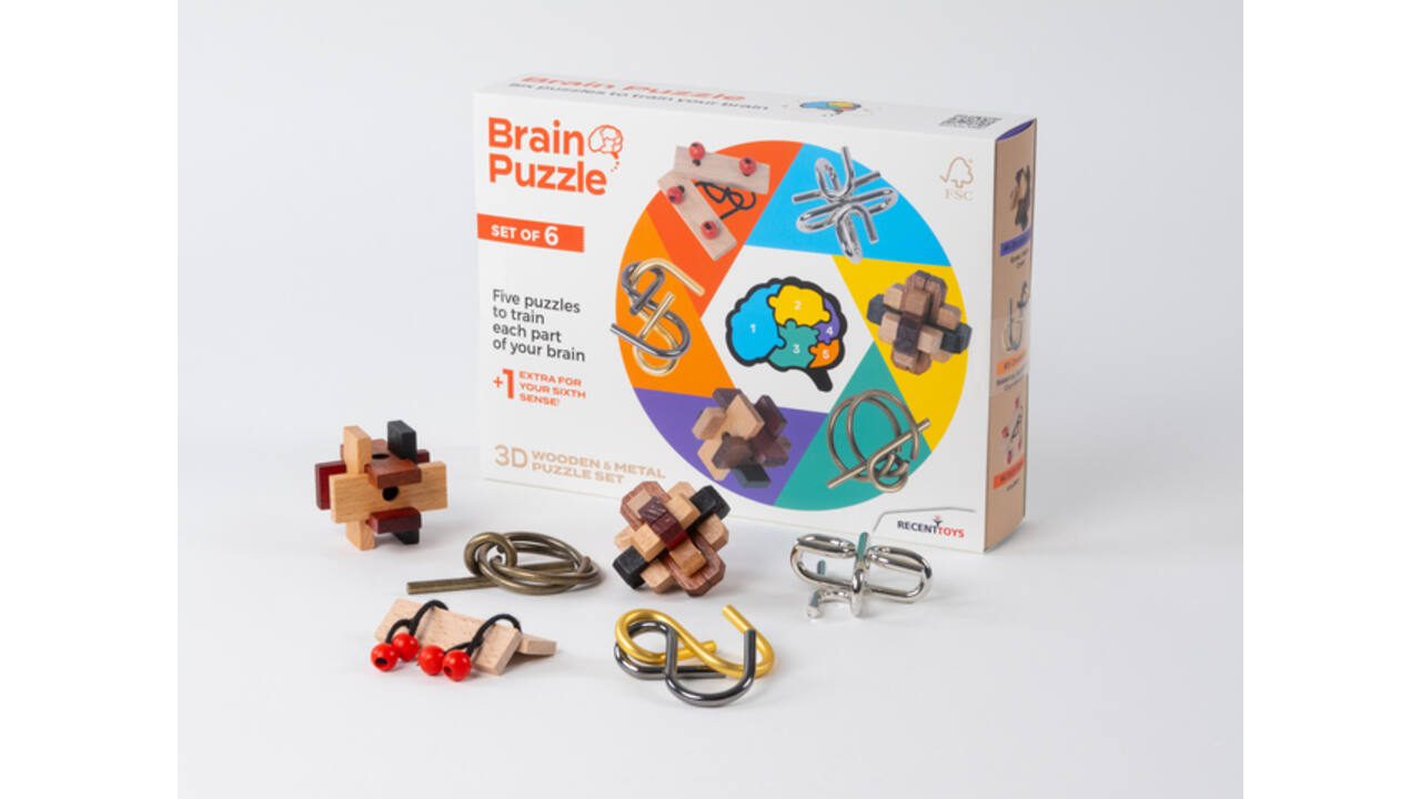 Brain Puzzles - set of 6