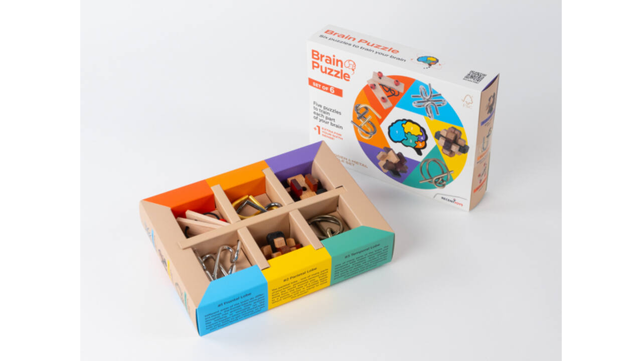 Brain Puzzles - set of 6