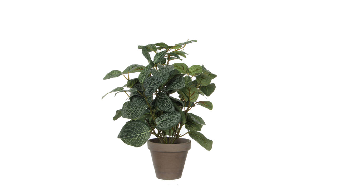 Kunstplant Mica Pilea in pot Ø11,5cm 35x25cm