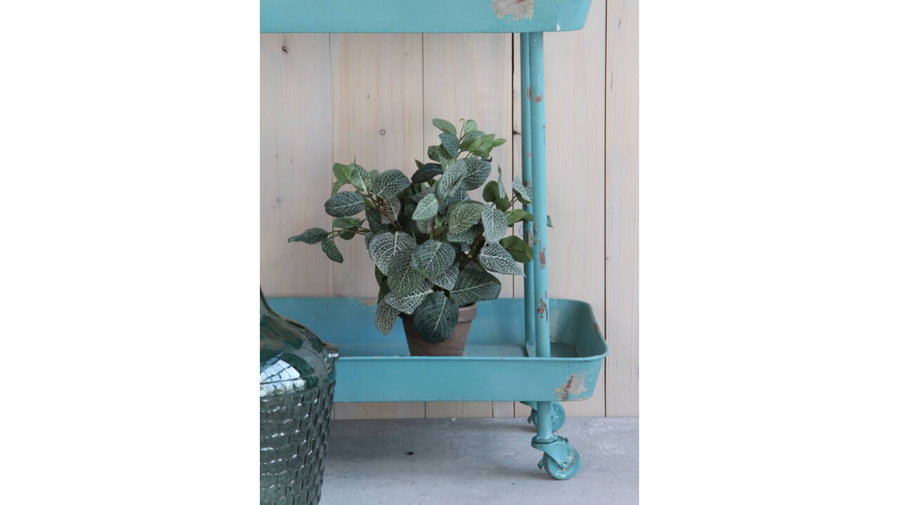 Kunstplant Mica Pilea in pot Ø11,5cm 35x25cm