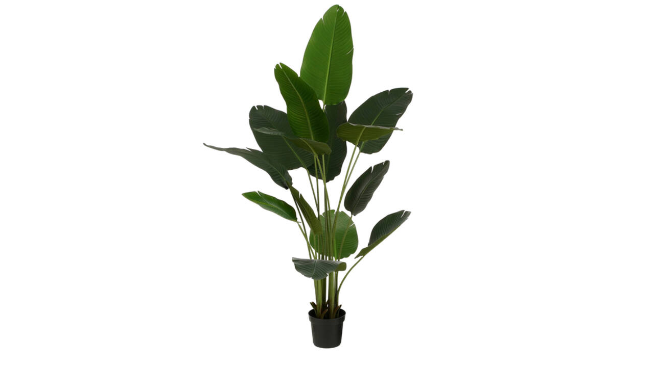 Kunstplant Mica Bananen boom in plastic pot 180x30cm