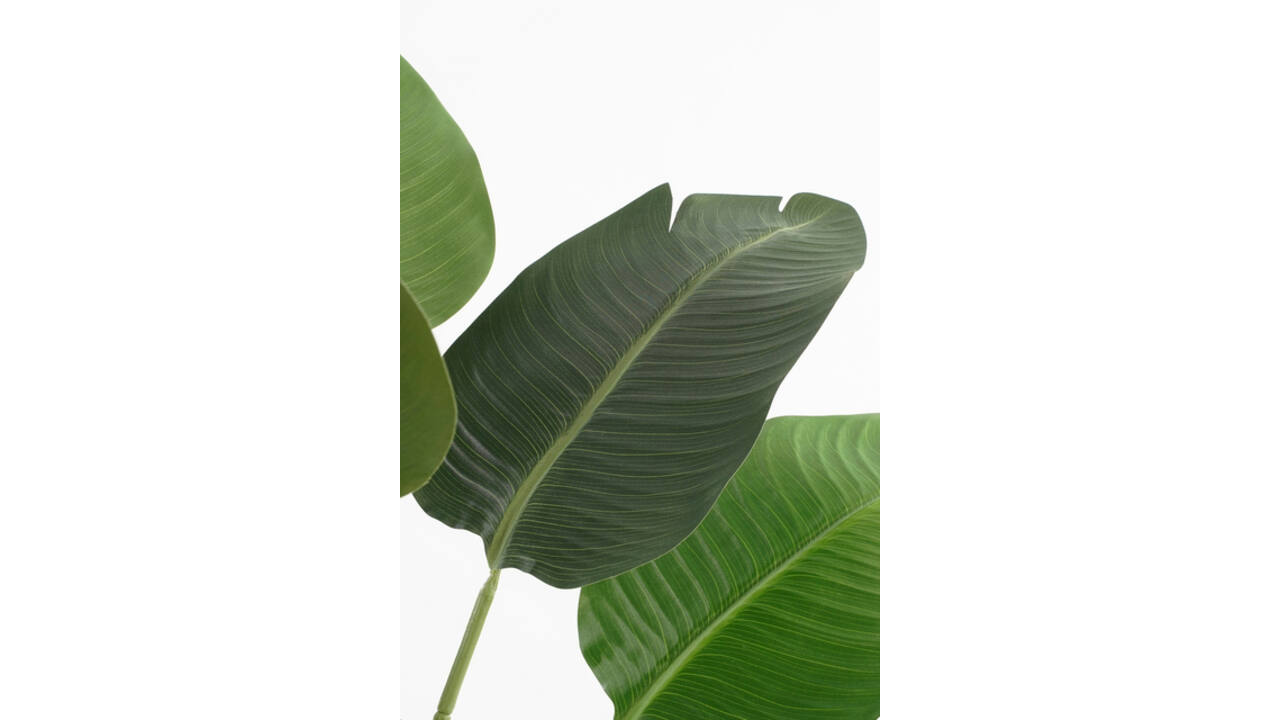 Kunstplant Mica Bananen boom in plastic pot 180x30cm