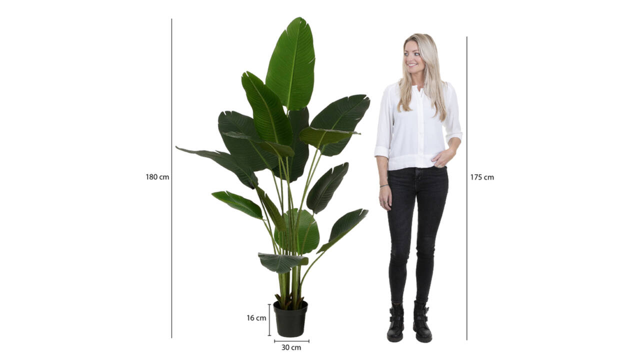 Kunstplant Mica Bananen boom in plastic pot 180x30cm