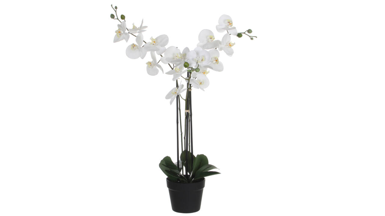 Kunstplant Mica Phalaenopsis orchideeën wit in plastic pot 79x51cm