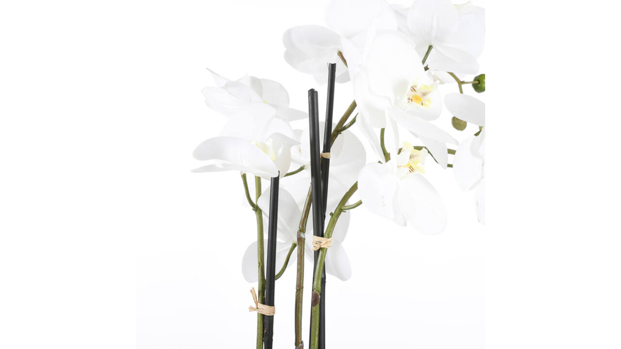 Kunstplant Mica Phalaenopsis orchideeën wit in plastic pot 79x51cm