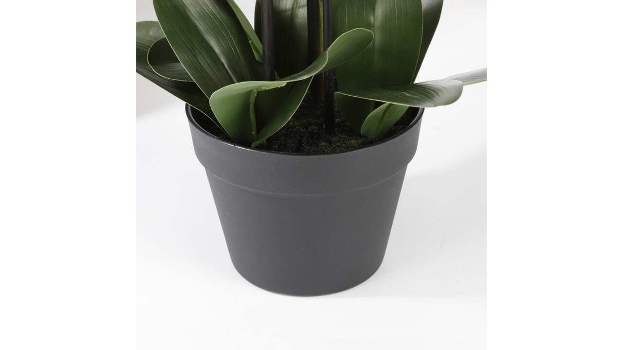 Kunstplant Mica Phalaenopsis orchideeën wit in plastic pot 79x51cm