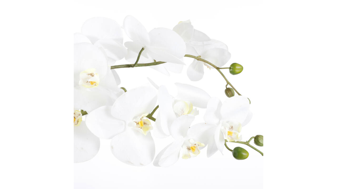 Kunstplant Mica Phalaenopsis orchideeën wit in plastic pot 79x51cm