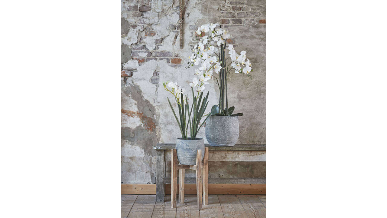 Kunstplant Mica Phalaenopsis orchideeën wit in plastic pot 79x51cm