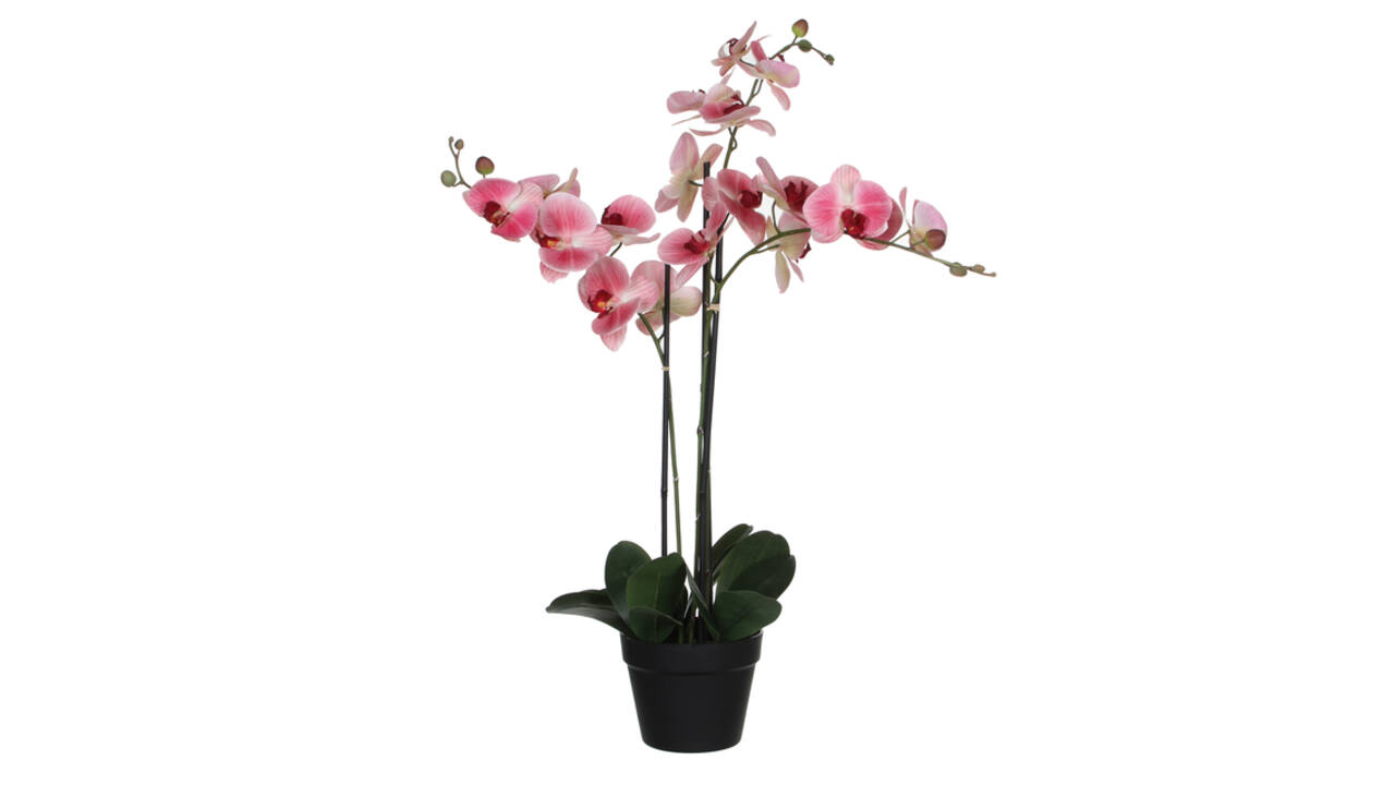 Kunstplant Mica Phalaenopsis orchideeën roze in plastic pot 79x51cm
