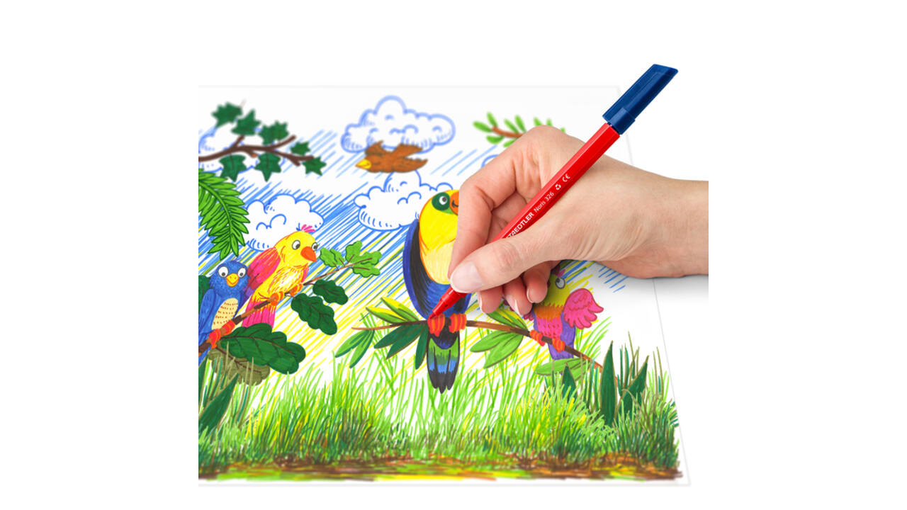 Kleurstift Staedtler Noris 326 kartonnen etui 20 kleuren