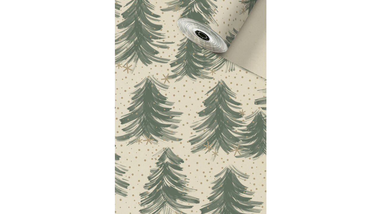 Apparaatrol Stewo Inverno suikerriet 150mx50cm