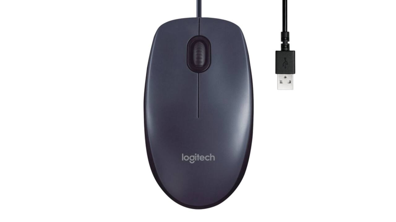 Muis Logitech USB B100 zwart