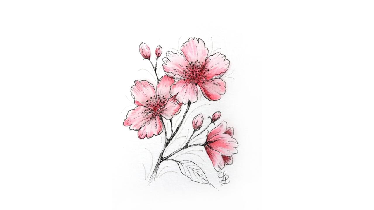 Tekenset Sakura Creative Kit Cherry Blossom 6 stuks