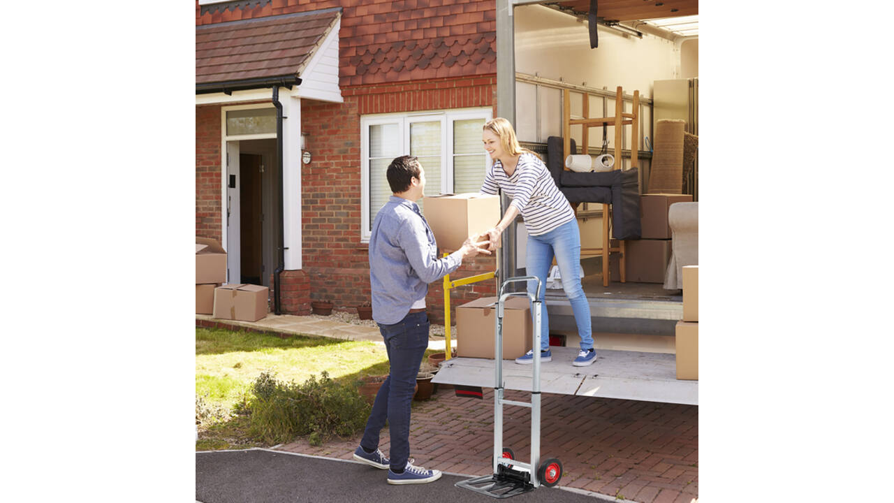 Steekwagen BRASQ stalen plateau 90 kg