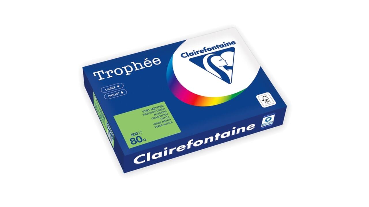 Kopieerpapier Trophée A4 80gr grasgroen 500 vel