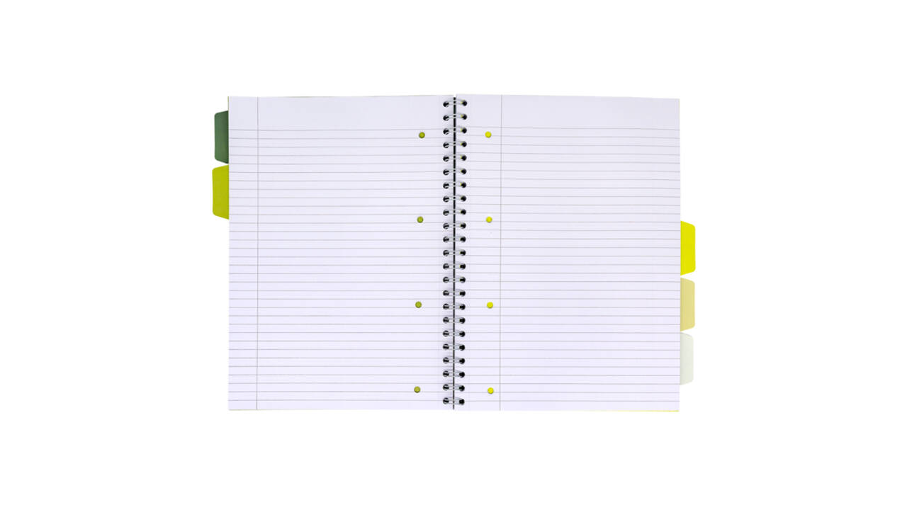 Projectboek Pukka Pad Recycled A4 lijn 5-tabs 4-gaats 200 pagina's 80gr groen