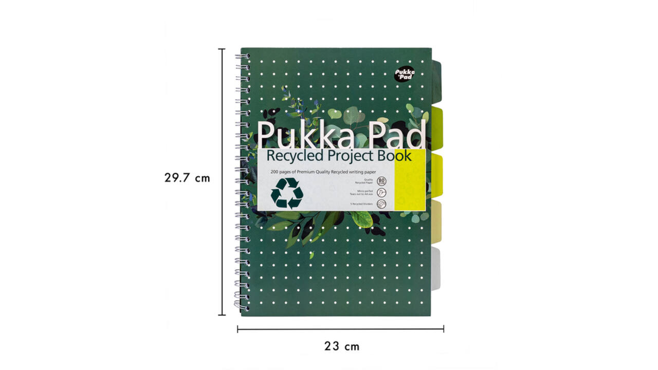 Projectboek Pukka Pad Recycled A4 lijn 5-tabs 4-gaats 200 pagina's 80gr groen