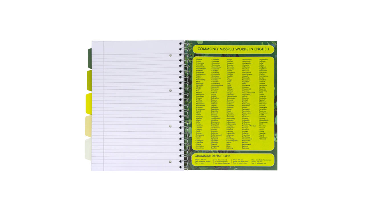 Projectboek Pukka Pad Recycled A4 lijn 5-tabs 4-gaats 200 pagina's 80gr groen