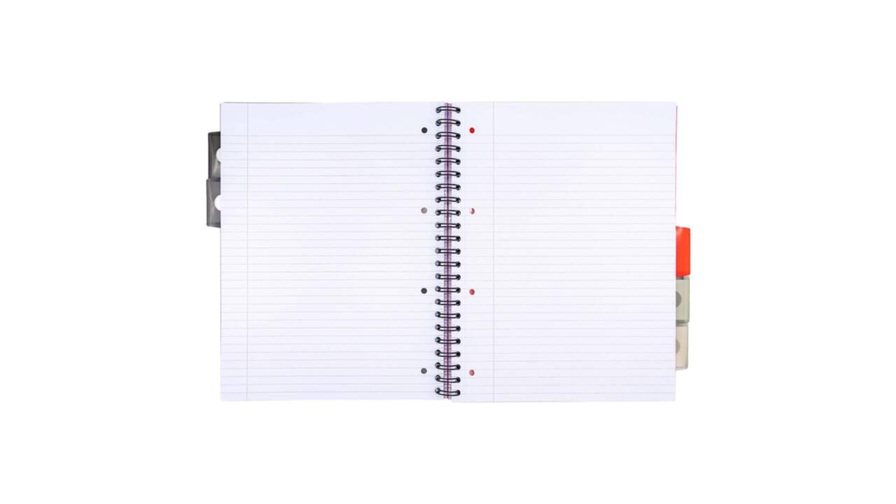 Projectboek Pukka Pad Metallic Executive A4 lijn 5-tabs 4-gaats 200 pagina's 80gr assorti