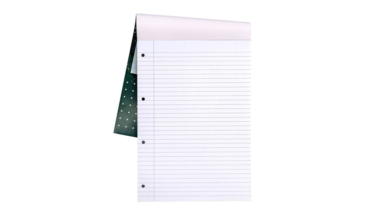 Schrijfblok Pukka Pad Recycled A4 lijn 4-gaats 100 vel 80gr