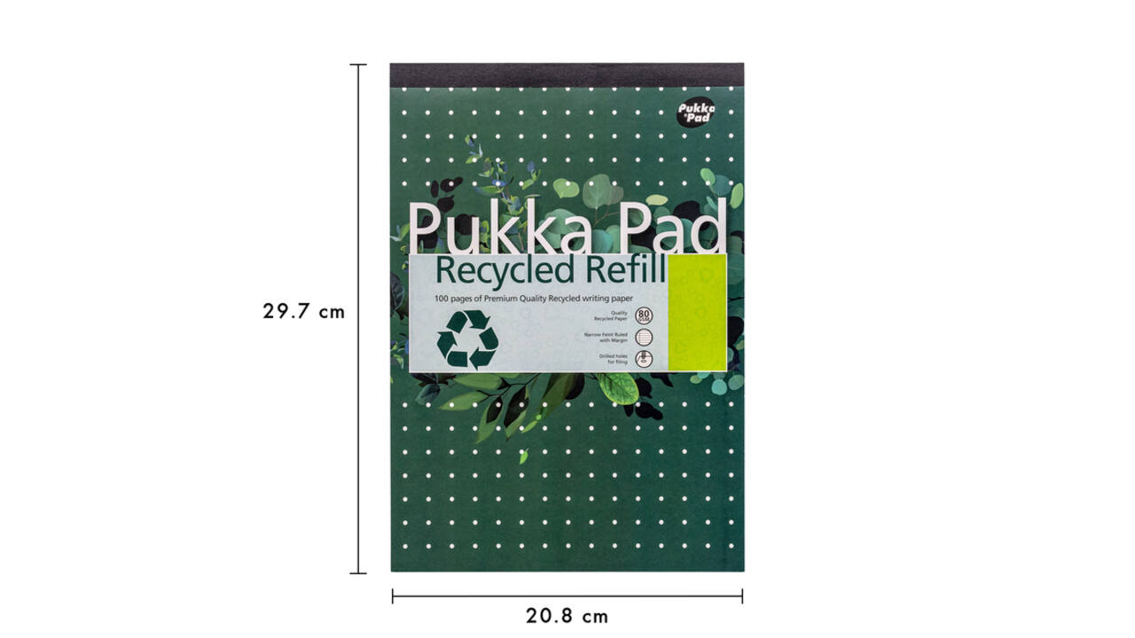 Schrijfblok Pukka Pad Recycled A4 lijn 4-gaats 100 vel 80gr
